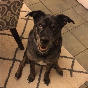 Meet your Posher, Olivia